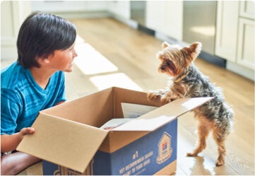 Niño y perro felices de recibir sus productos Hill's